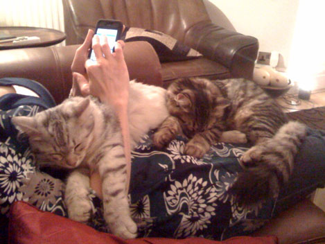 Snowgum Millie & Mathilda.